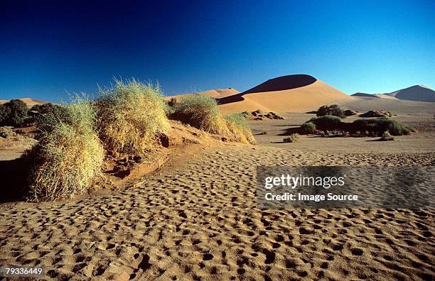 dune in the namib desert - namib desert stock pictures, royalty-free photos & images
