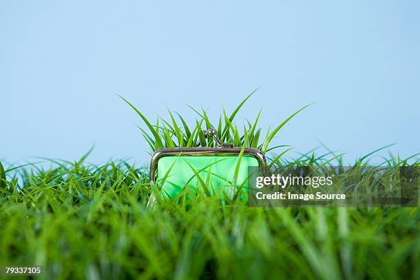 grass growing out of a purse - green purse stockfoto's en -beelden