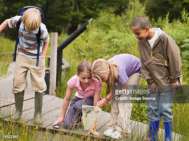 crianças na reserva natural - field trip imagens e fotografias de stock