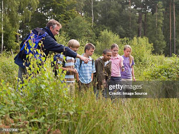 teacher and pupils at nature reserve - field trip stock pictures, royalty-free photos & images