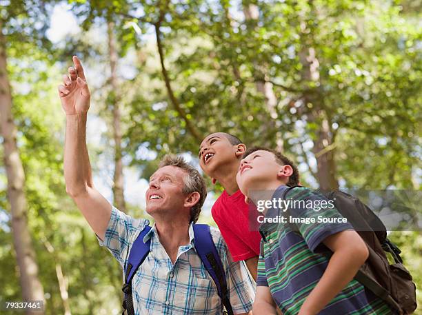 teacher and children in forest - teacher pointing finger stock pictures, royalty-free photos & images