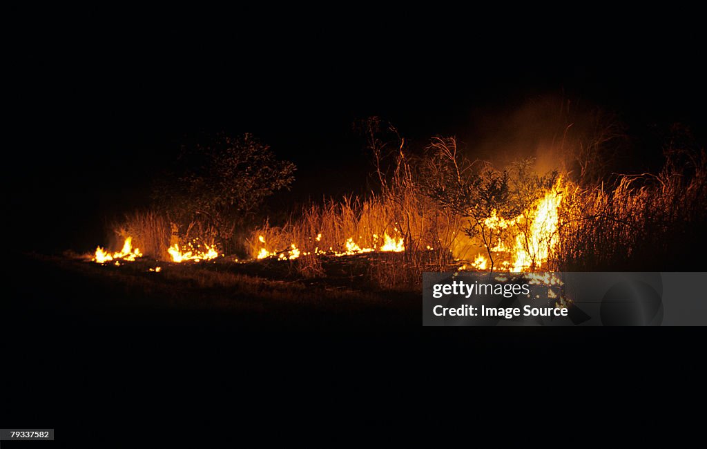 Bush fire in australia