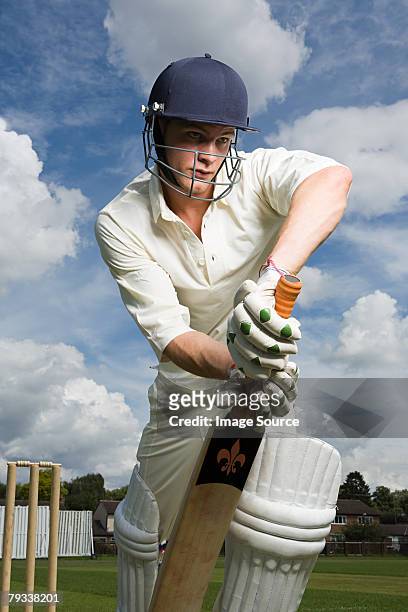 porträt eines ausbackteig - playing cricket stock-fotos und bilder