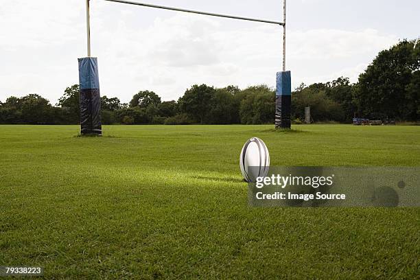an illuminated rugby ball on a rugby pitch - rugby stockfoto's en -beelden