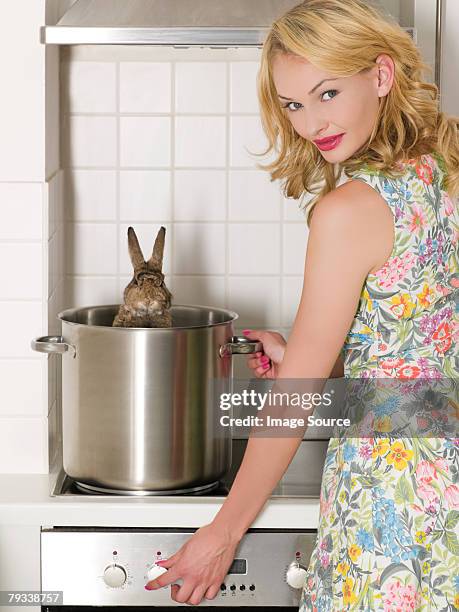 Meen Rabbit 57 Mean Bunny Stock Photos, High-Res Pictures, and Images - Getty Images