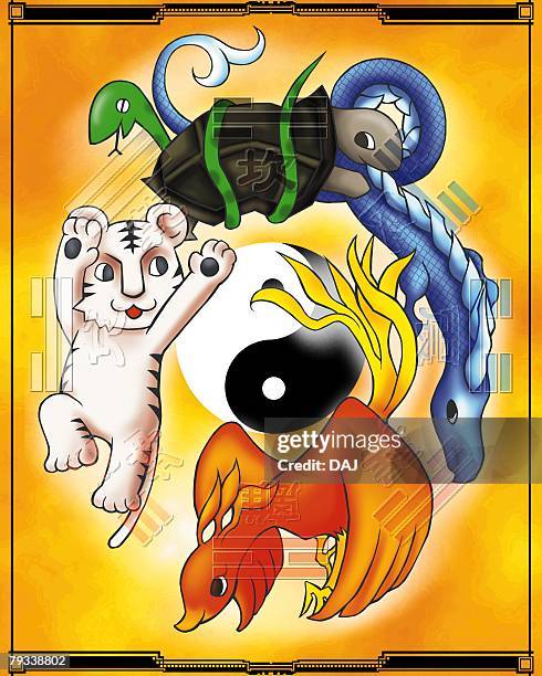 turtle, dragon, red chinese phoenix, and tiger around yin yang, front view, side view - feng shui stock illustrations