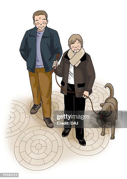 senior couple walking with a dog, illustration, high angle view - woman in spaghetti straps stock illustrations