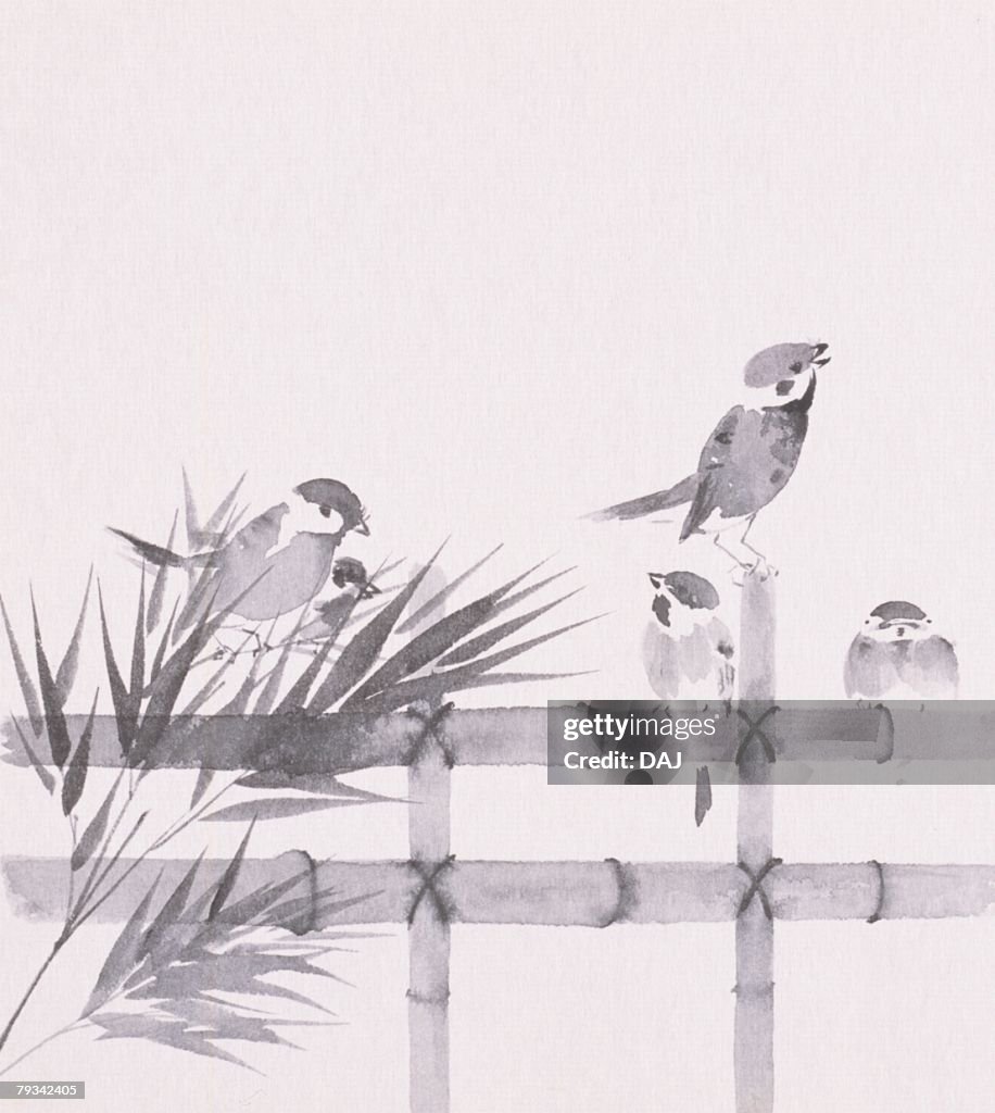 Sparrows perching on bamboo fence, black and white