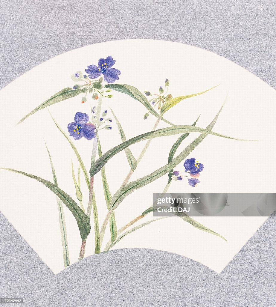 Dayflower inside fan shaped frame