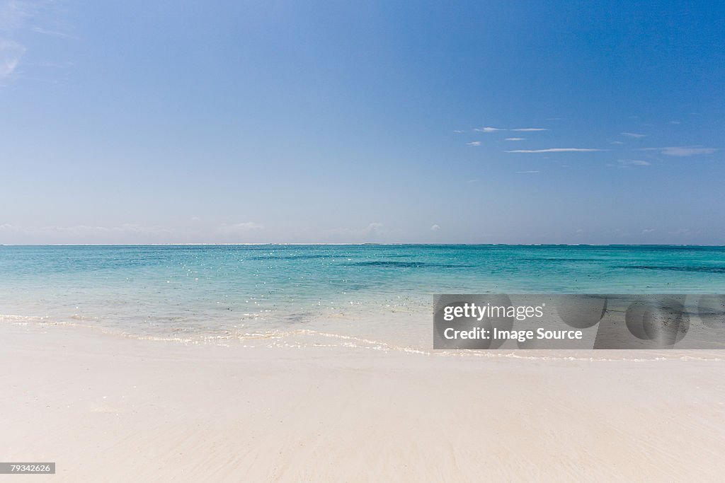 Beach and sea