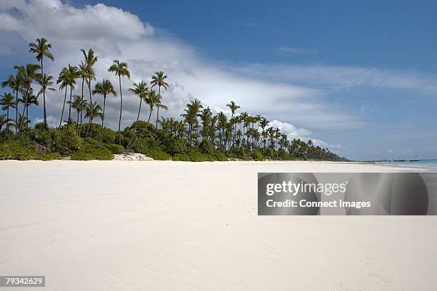 paradise beach - desert island stock pictures, royalty-free photos & images