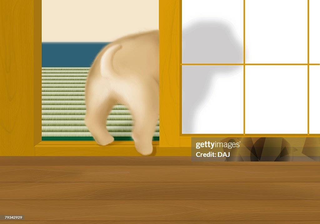 Puppy behind sliding door, rear view