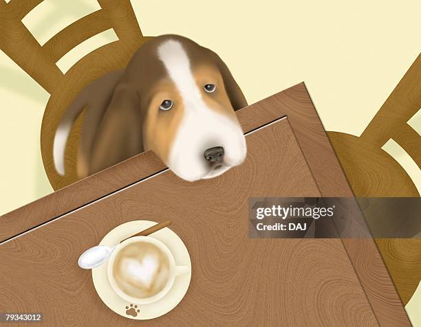 basset hound putting head on a table, high angle view - basset hound stock illustrations