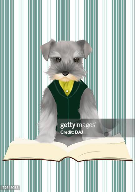 miniature schnauzer in clothes leaning on a opened book, front view - dog leaning stock illustrations