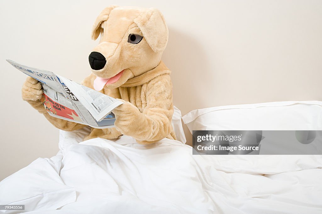 Person in dog costume reading newspaper