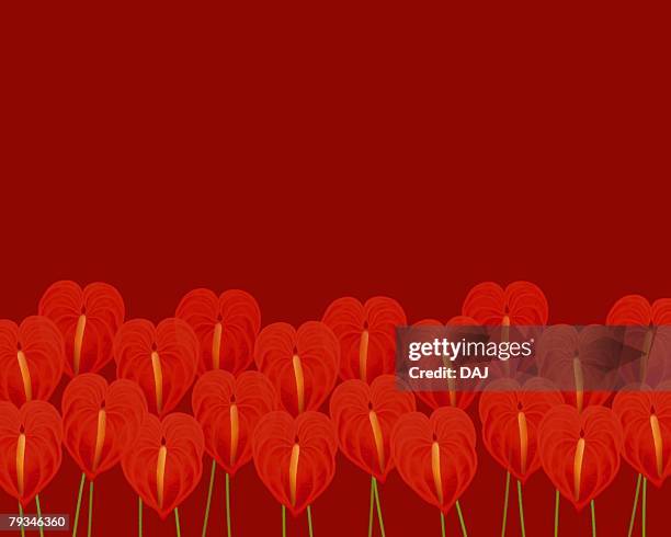 stockillustraties, clipart, cartoons en iconen met closed up image of several red-colored anthuriums, illustration, illustrative technique - anthurium