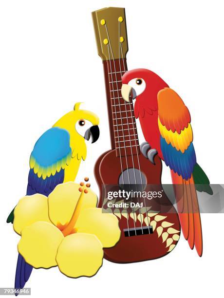 tropical image, painting, illustration - ukulele stock illustrations