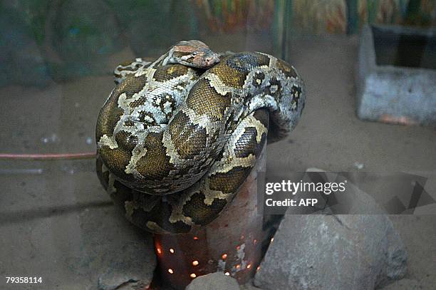 533 Coil Pot Stock Photos, High-Res Pictures, and Images - Getty Images