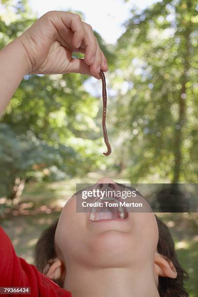 junge im freien essen ein regenwurm - earthworm stock-fotos und bilder