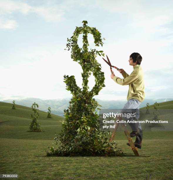 man pruning dollar sign tree - topiary stock pictures, royalty-free photos & images