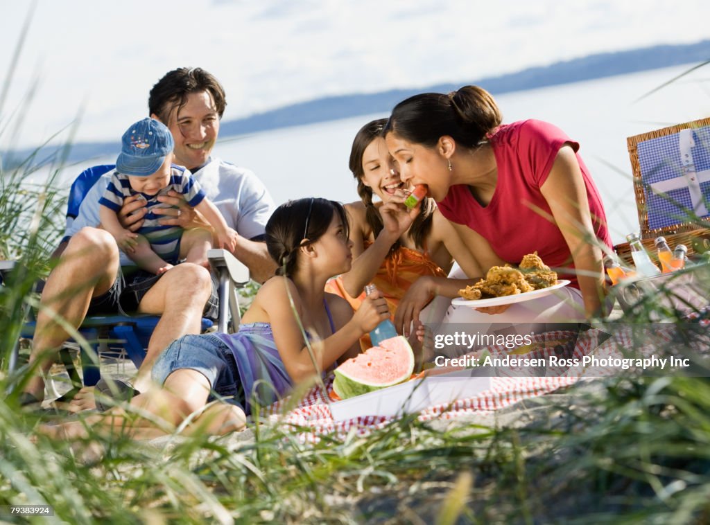 Multi-ethnic family having picnic