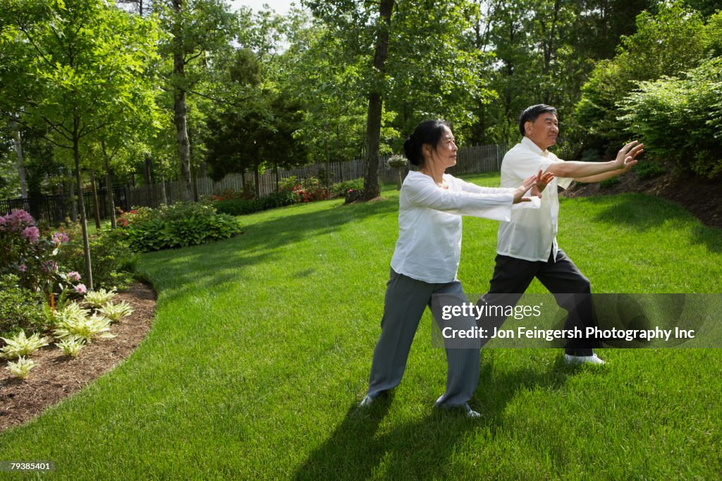 Senior Asian couple practicing tai chi