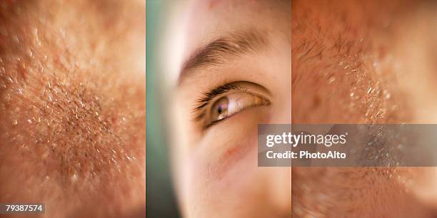 Paa102000004 High-Res Stock Photo