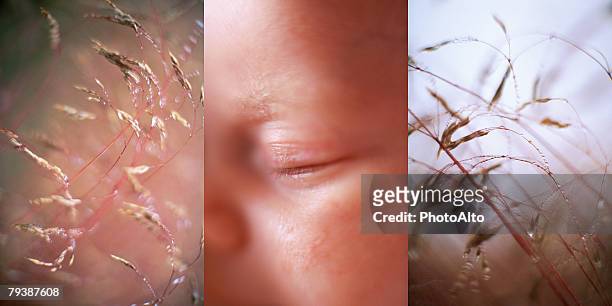 paa102000022 - hairy human skin stock pictures, royalty-free photos & images