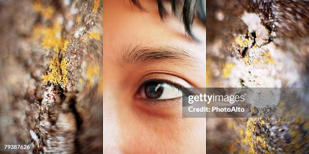 paa102000031 - triptych stock pictures, royalty-free photos & images