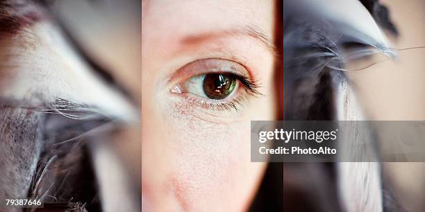 paa102000041 - hairy human skin stock pictures, royalty-free photos & images