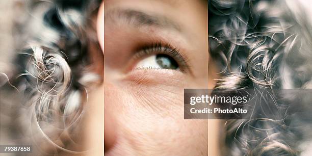 paa102000049 - triptych stock pictures, royalty-free photos & images