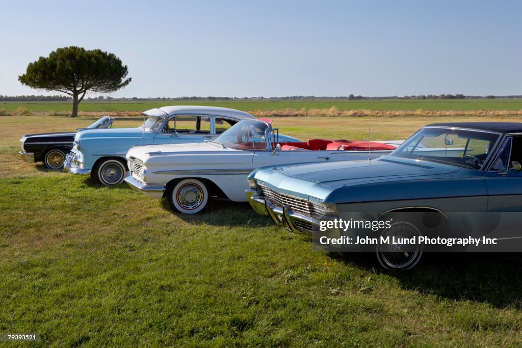 Row of low rider show cars