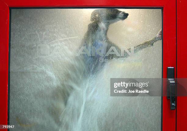 Lougy, the dog, stands as he is cleaned in a new pet washing machine known as the PetSpa June 21, 2002 in Miami, Florida. The side-loading converted...