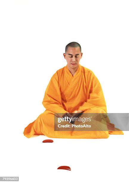 paa138000015 - monks stock pictures, royalty-free photos & images