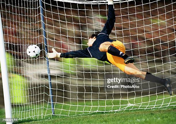 paa164000075 - football goal stock pictures, royalty-free photos & images