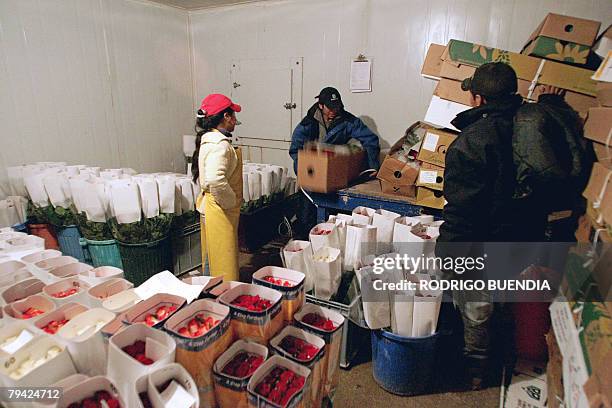 Cold Store Delivery 206 Cold Store Logistics Stock Photos, High-Res Pictures, and Images ...