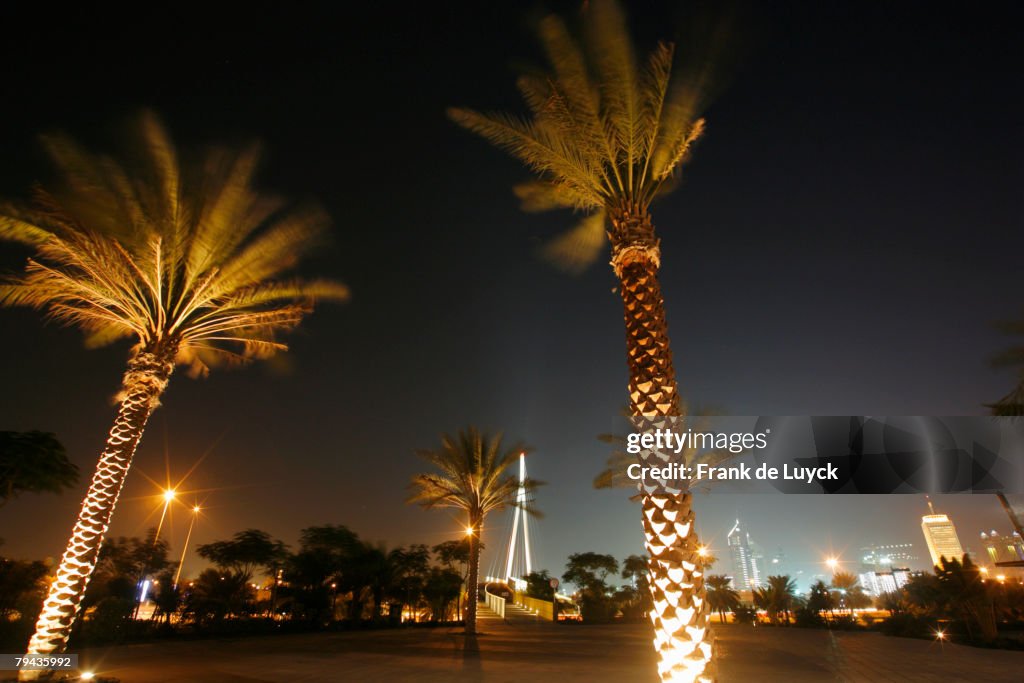 Palm trees in Zabeel park with Dubai's skyline in background, photographed at night. Zabeel Park, Dubai, United Arab Emirates