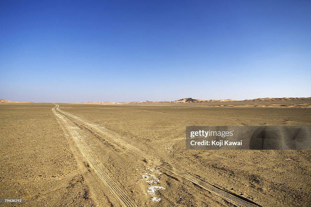 Car tyre tracks in the desert sand. Abu Dhabi, United Arab Emirates