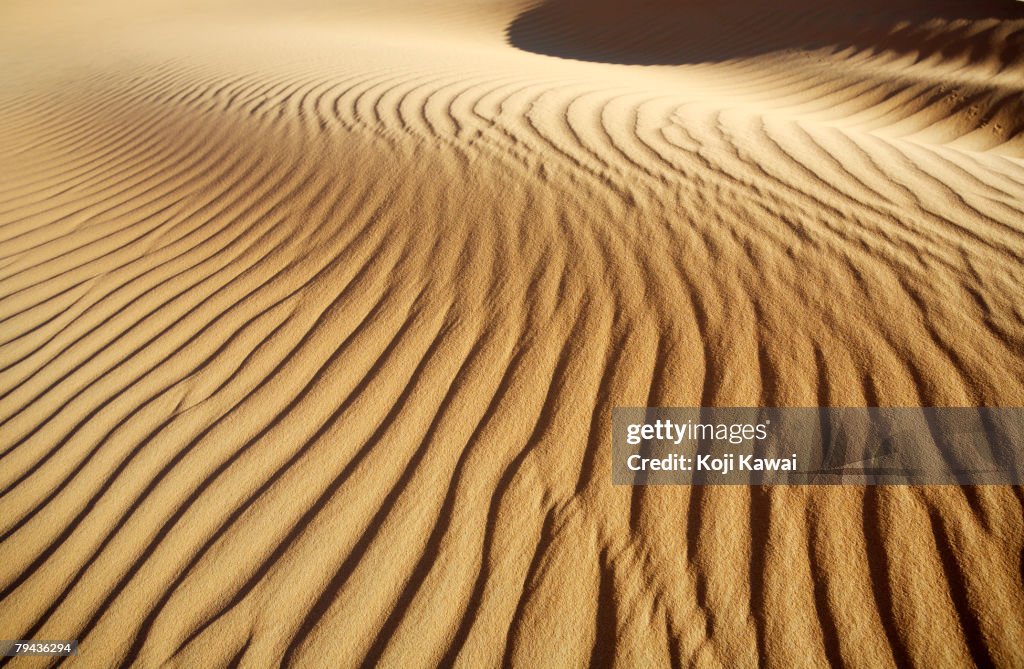 Ripple wind patterns on the sand in the Abu Dhabi Desert. United Arab Emirates
