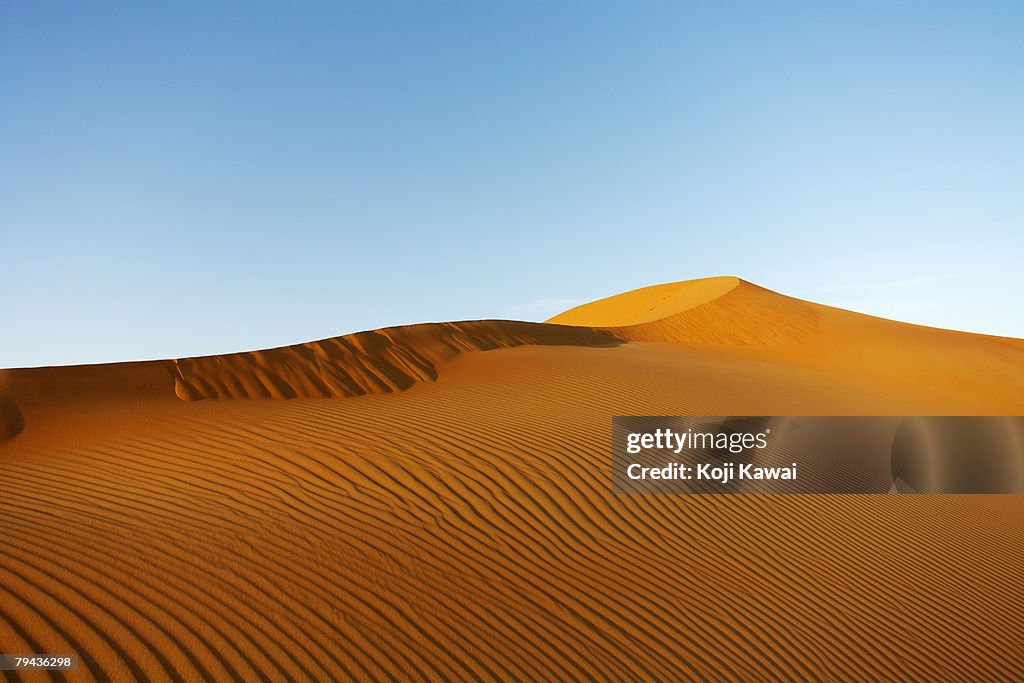Desert sand dunes in Abu Dhabi. United Arab Emirates