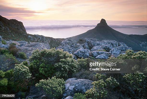 scenic view of lions head looking out over a misty bank. cape town, western cape province, south africa - lion's head mountain stock pictures, royalty-free photos & images