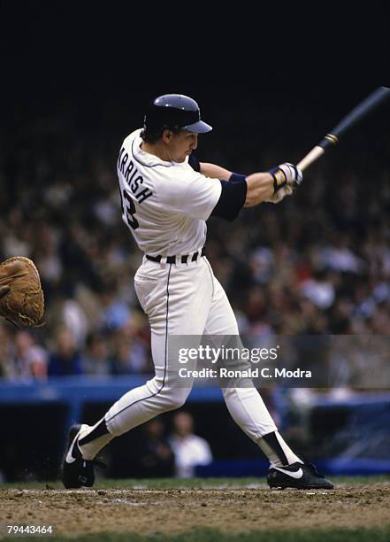 Lance Parrish Tigers Photos and Premium High Res Pictures - Getty Images