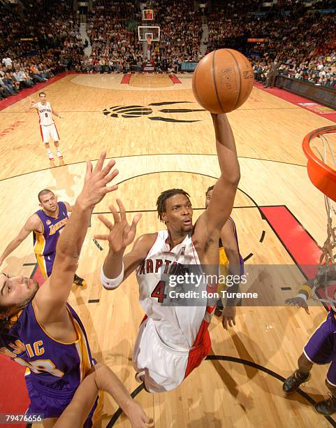 Chris Bosh of the Toronto Raptors flies through the lane for the dunk in front of Sasha Vujacic of the Los Angeles Lakers on February 1, 2008 at the...