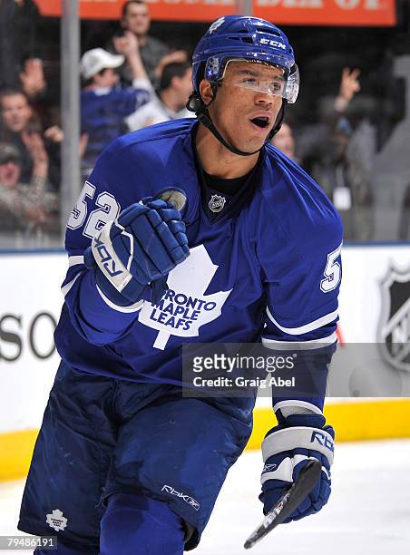 Robbie Earl of the Toronto Maple Leafs celebrates a third period goal against the Ottawa Senators at the Air Canada Centre February 2, 2008 in...