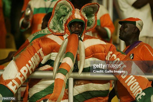 Ivory Coast fan is seen during the quater final AFCON match between Ivory Coast and Guinea held February 3, 2008 at the Sekondi Stadium, in...