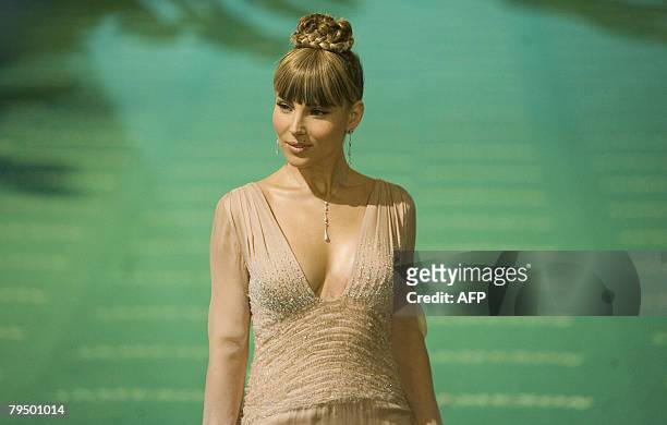 Elsa Pataky poses on arrival at the Goya awards in Madrid on February 3, 2008. AFP PHOTO/Angel NAVARRETE