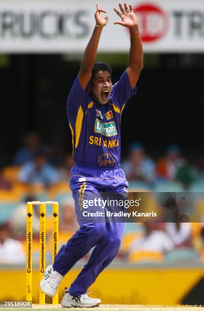 Chaminda Vaas of Sri Lanka appeals during the Commonwealth Bank Series match between Sri Lanka and India held at the Gabba on February 5, 2008 in...