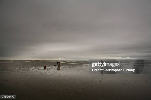 Polish cockle pickers search the treachorous sands of Morecambe Bay for the sought after shellfish at Hest Bank on February 5 in Morecambe, England....