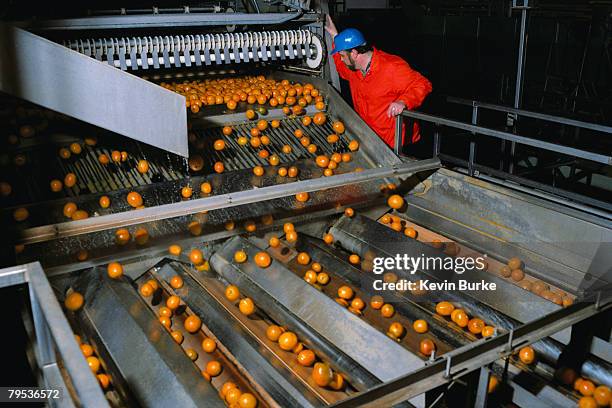 Oranges Processed Food Processing Oranges Photos and Premium High Res Pictures - Getty Images