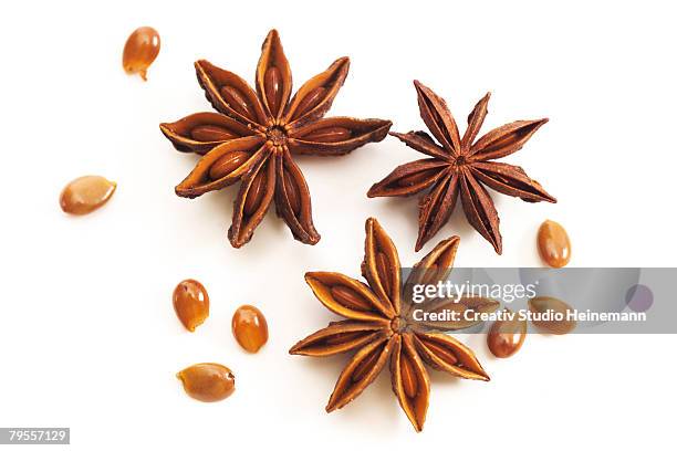 star-anises - anise plant stock pictures, royalty-free photos & images